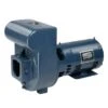 Pentair Sta-Rite D Series Cast Iron Pump 230V, 3 HP -Crystal Clear Pool 4096 a sq