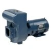 Pentair Sta-Rite D Series Cast Iron Pump 230V, 5 HP -Crystal Clear Pool 4296 a sq