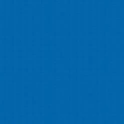 SR Smith Olympian Aluminum Diving Board, 10 Ft, Blue