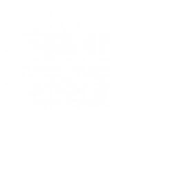 SR Smith Frontier III Diving Board, 14 Ft, White